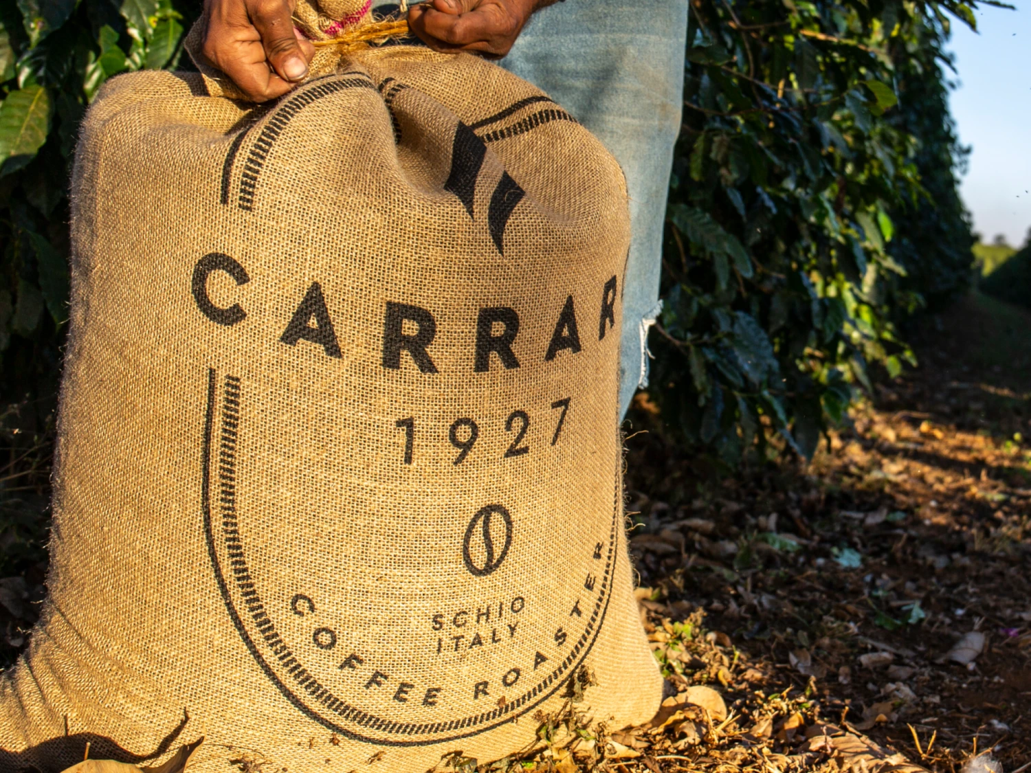 Carraro Dolci Arabica 4 Carraro Dolci Arabica - Image 2