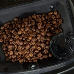 Gaggia Cadorna Barista Plus Automatic Espresso Machine - Dark Chocolate Straight Grain 21 Gaggia Cadorna Barista Plus Automatic Espresso Machine - Dark Chocolate Straight Grain -Gaggia Store GACADORNAPLUS DCSG 2025