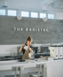 Brewista Artisan Electric Gooseneck Kettle - Pearl White -Gaggia Store IMG 2932newlogo